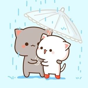 Meet your Posher, Chelsea